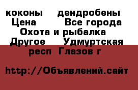 коконы    дендробены › Цена ­ 25 - Все города Охота и рыбалка » Другое   . Удмуртская респ.,Глазов г.